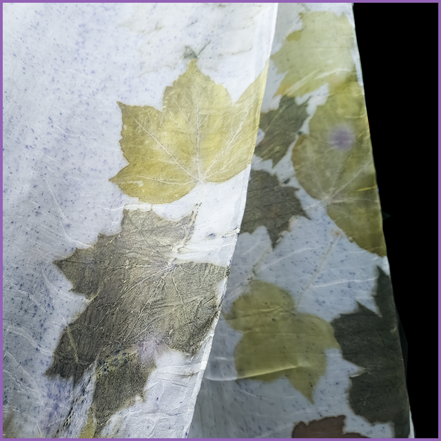 100% Silk Scarf - 180cm x 45cm - eco printed with sycamore and maple leaves, blanket dyed with logwood