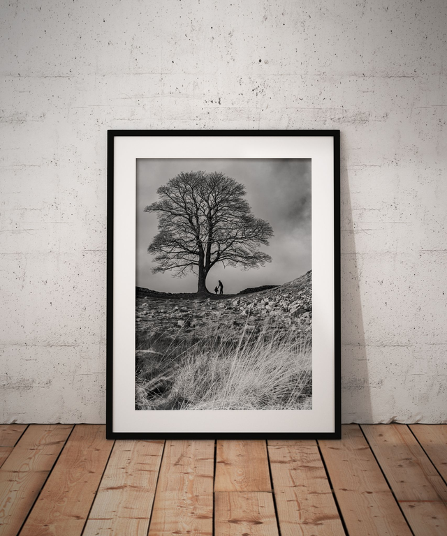 Guidance, Sycamore Gap