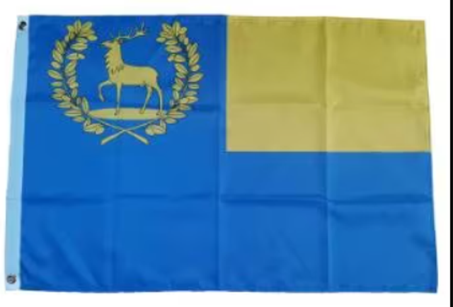 Grote vlag Epe (150x90cm)