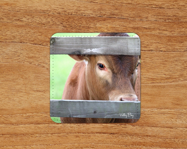 “Peeka Moo” Coaster 