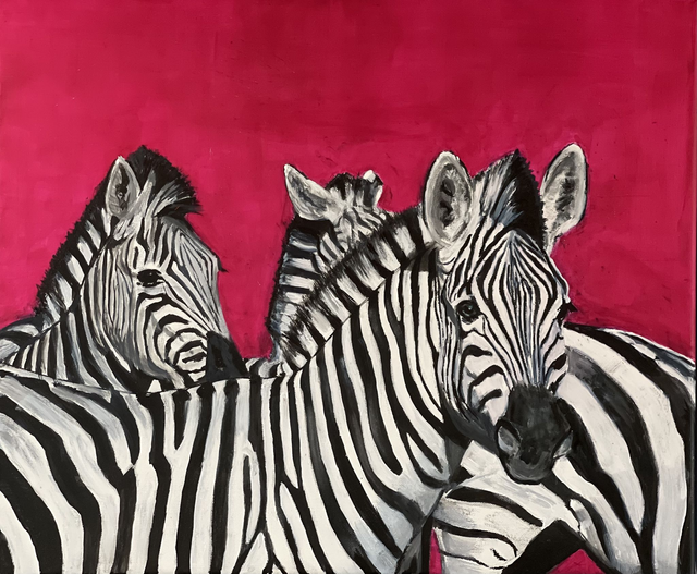 A Dazzle of Zebras 