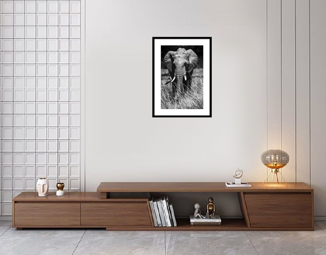 Eléphant -Masaï Mara Kenya - Réf: K-2317