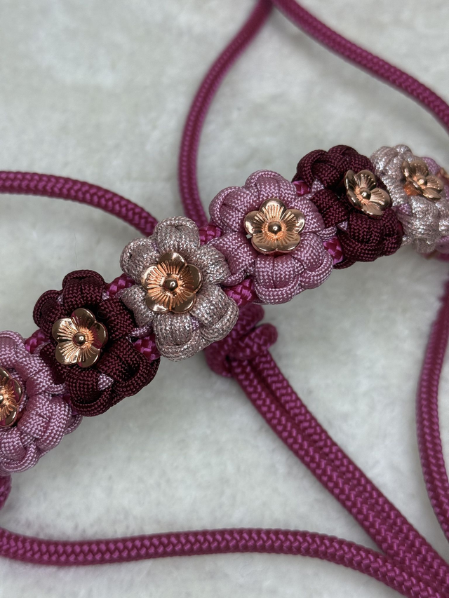 Set licol + longe 2M50