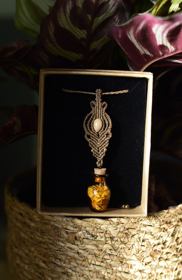 talisman camomilla