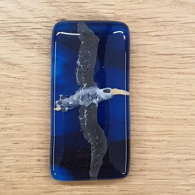Albatross glass enamel badge