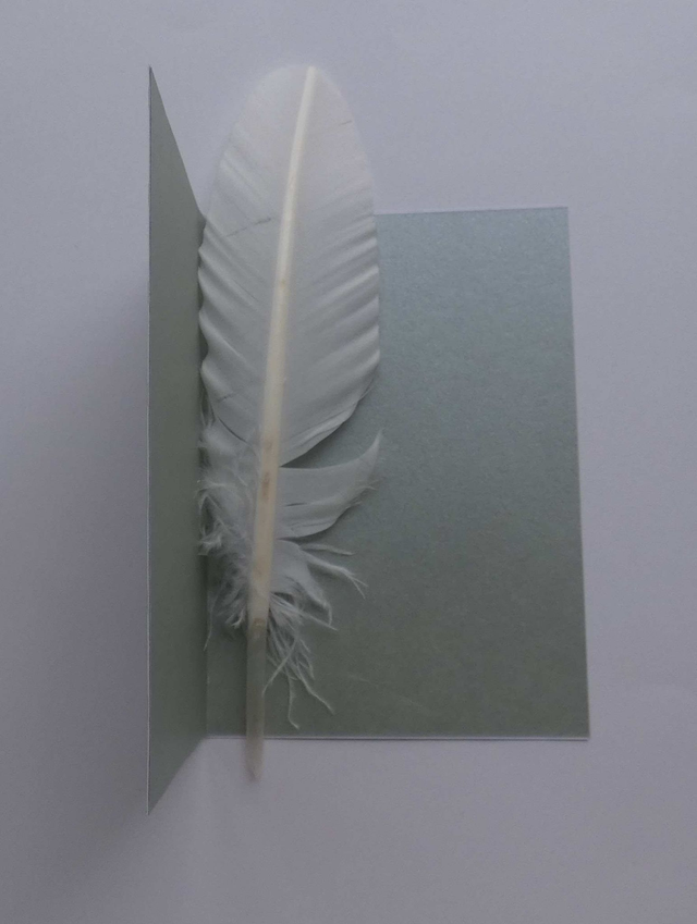 Vive le bonhomme de neige