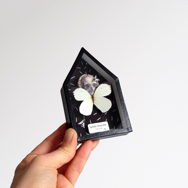 Maison-papillon / n°3