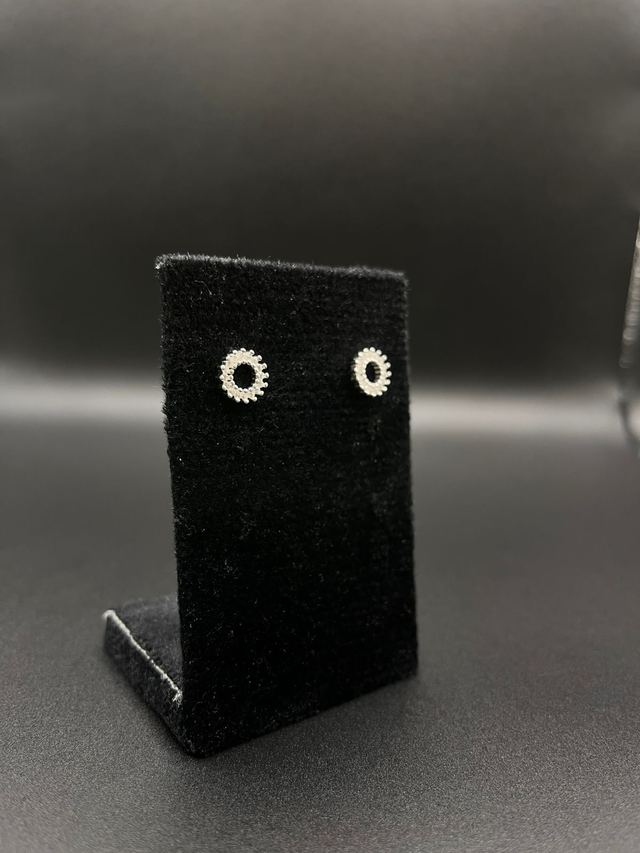 Brinco círculo cravejado