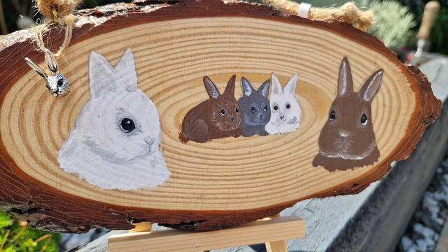 Rabbit log slice plaque/sign