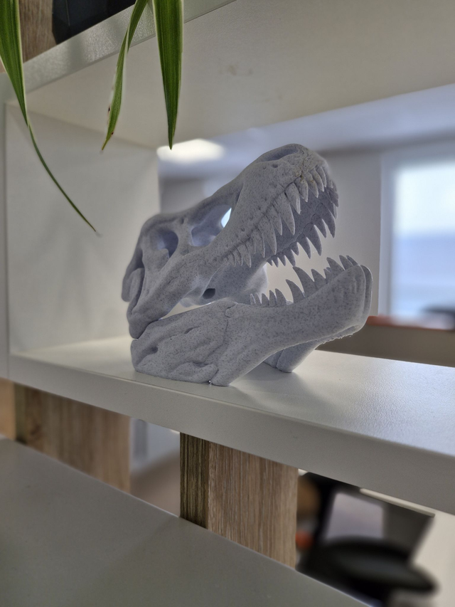 T-REX - Skull