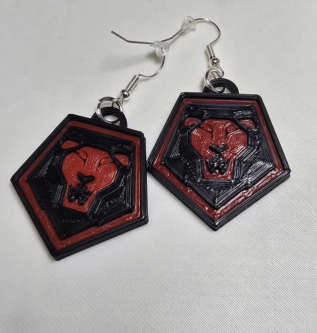 Boucles d'oreilles Saja Boys