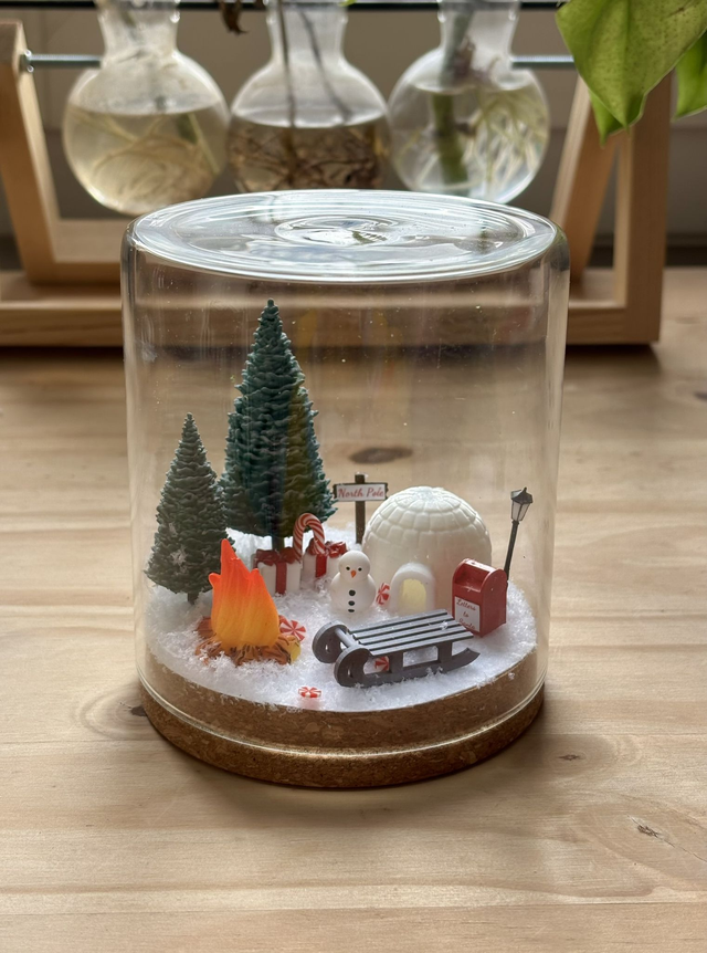 ❄️ Terrarium verre - Édition Hiver
