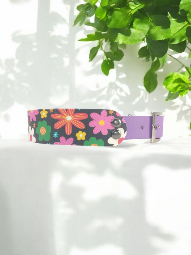 Collier pour chien en BioThane® Original USA. Vintage / Améthyste Orchid