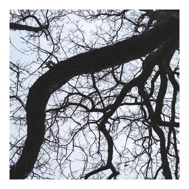 Tirage photo "18 février 2022"