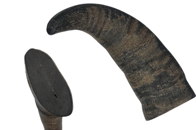 Buffalo Horn (Solid)