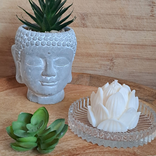 Fleur de Lotus (fermée)