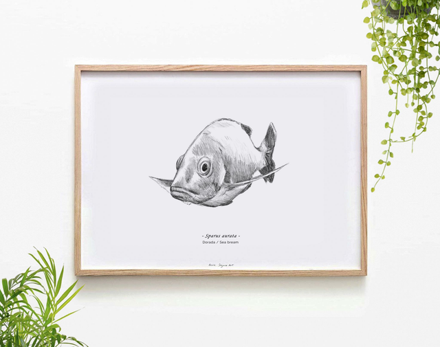 Pencil fish - Sea Bream