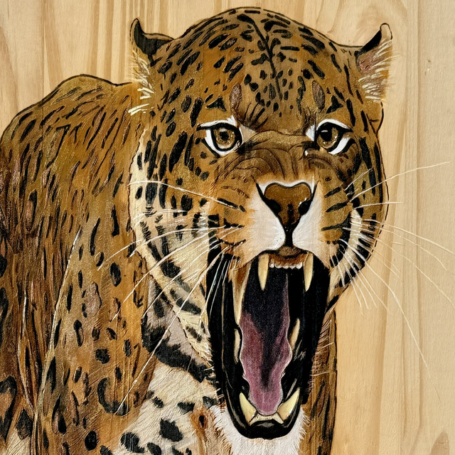 Jaguar Charismatique