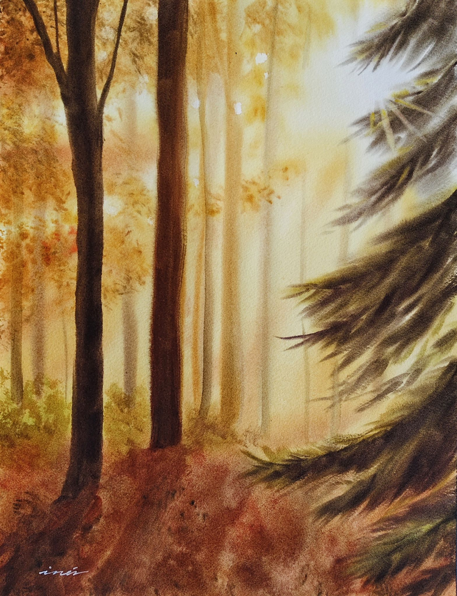 Bosque cálido  - 31 x 41 cm 