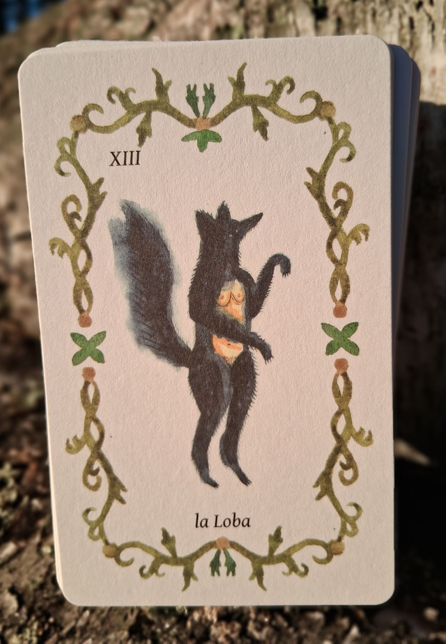 Bestiary of Women Oracle: Goddesses and legendary women from around the world * by Hanna Tricoire