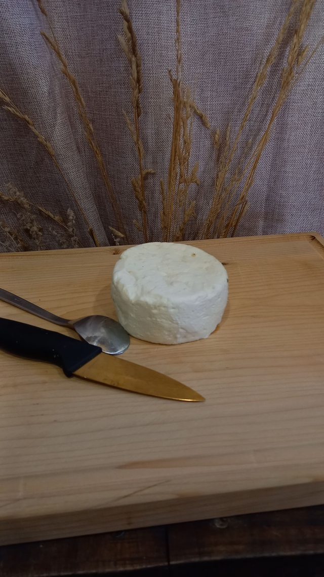 Prodins au lait de vache - Nature