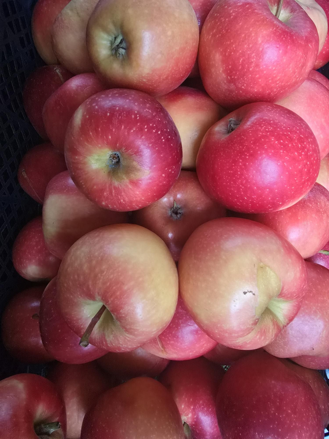 Red apples