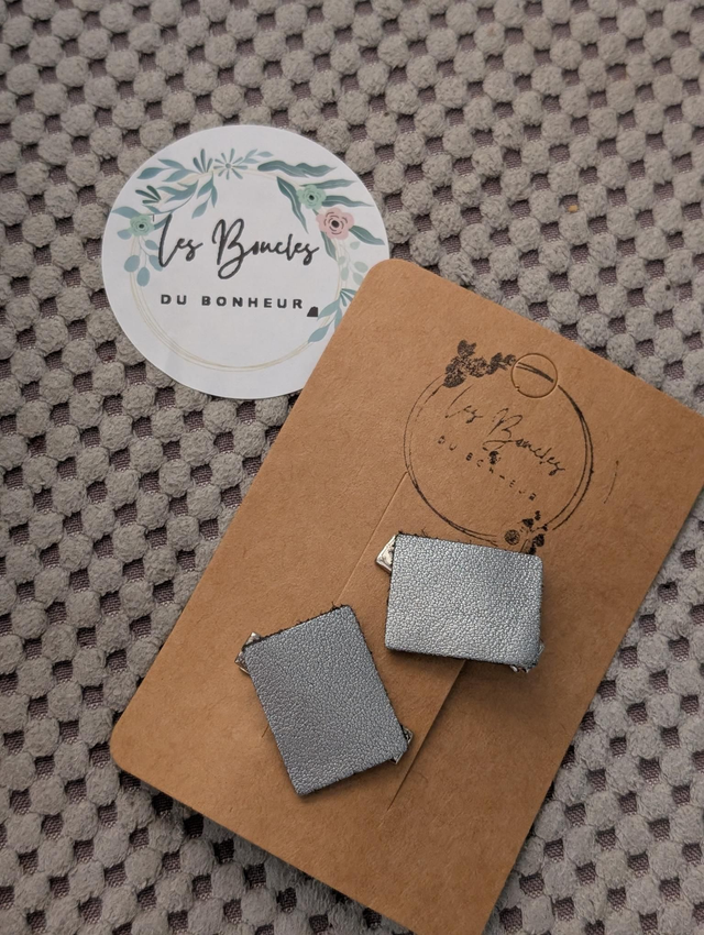 Barrette b047
