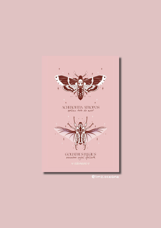 Carte A6 Sphinx x Goliath 🌞