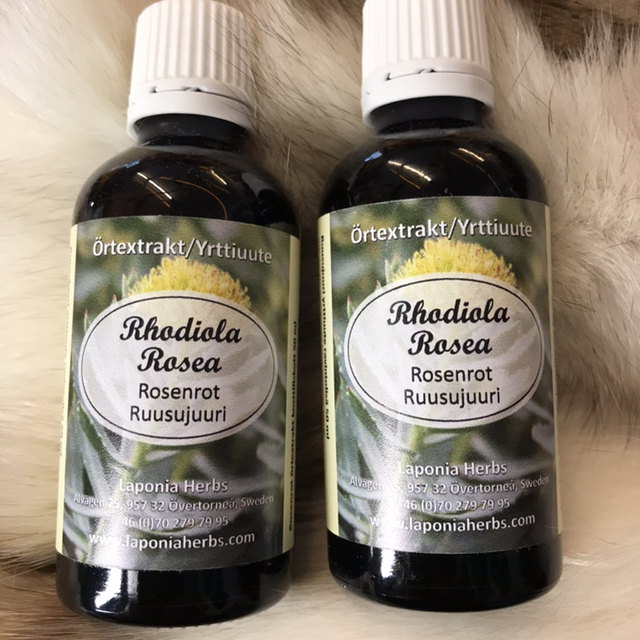 Ruusunjuuri yrttiuute 50 ml Laponia Herbs