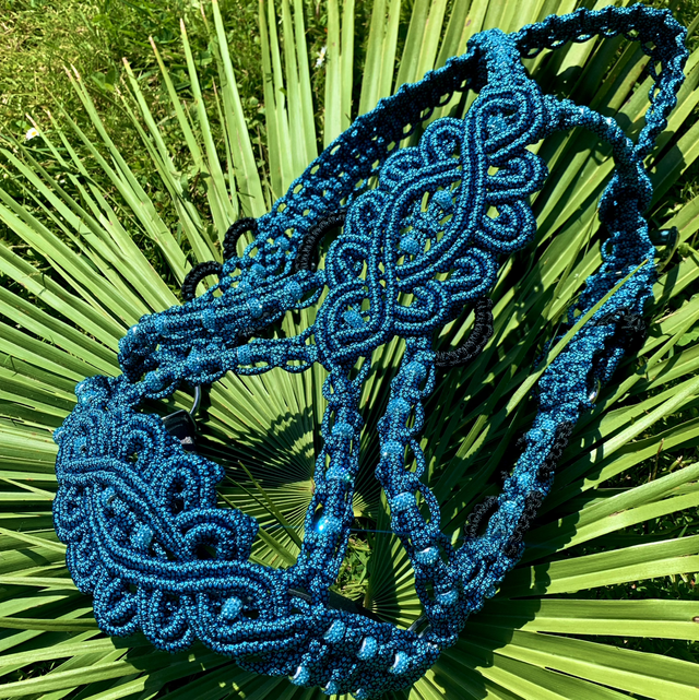 Licol ALLURE Blue Océan Edition taille full