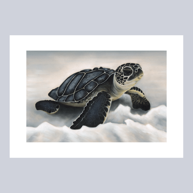 Reproductions - Tortue N°1