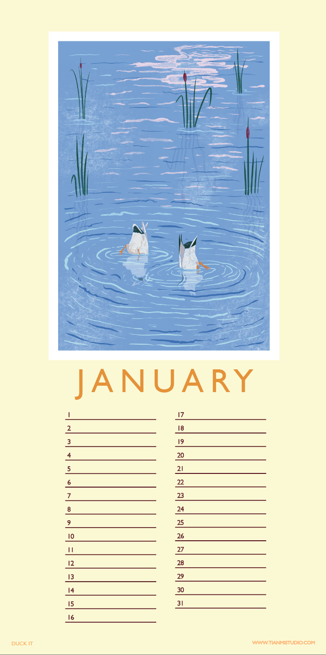 PRE- ORDER 2 in 1 Wall Calendar - 2027 Planner & Perpetual Birthday Calendar