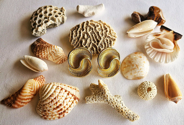 Boucles d'oreilles Double nautile en doré