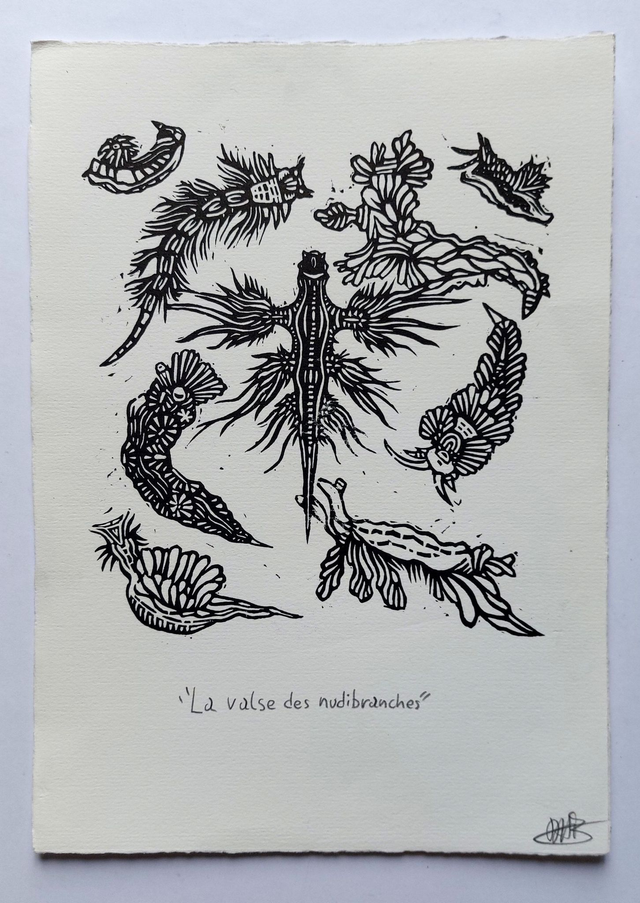 VALSE DES NUDIBRANCHES