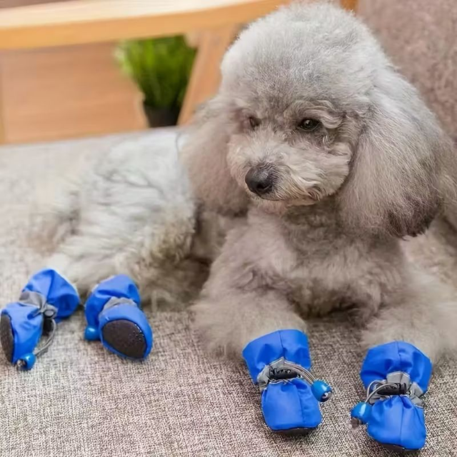 Dog 4pc Waterproof Shoes