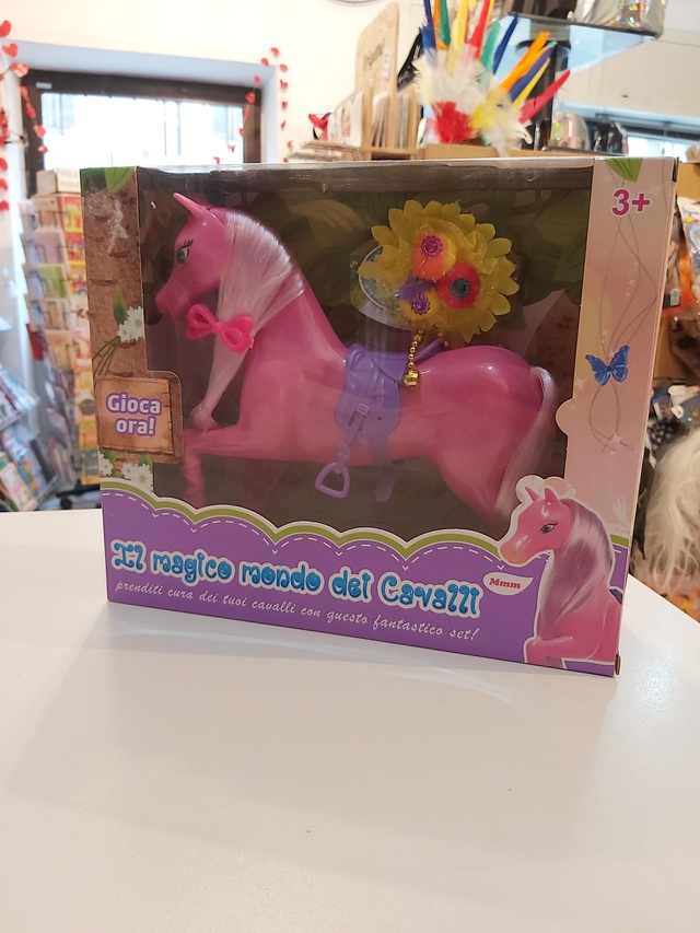 il magico mondo dei cavalli