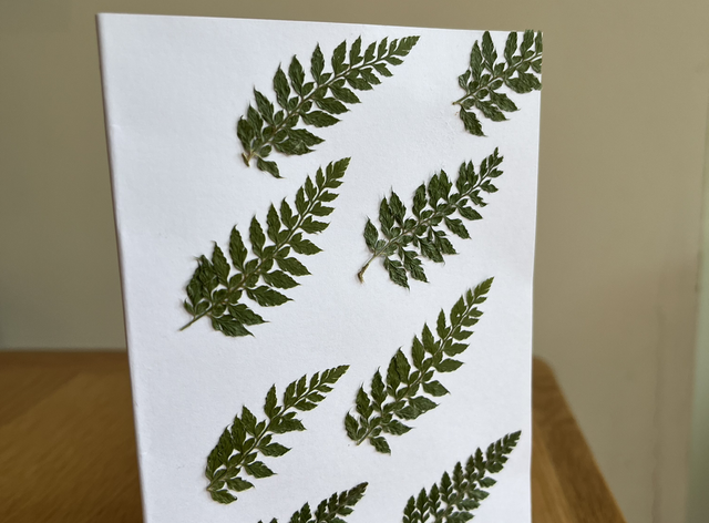 Fern 04 Greeting Card