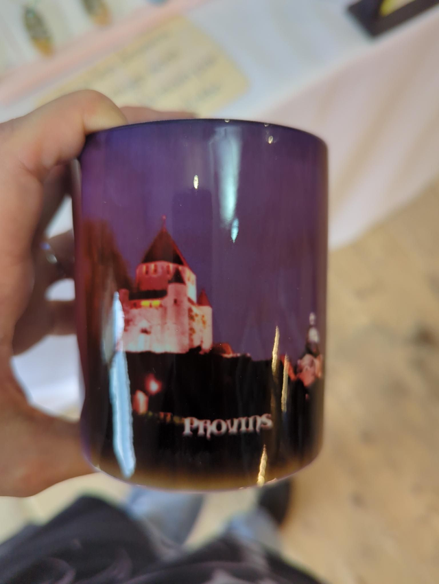 M073 mug Provins nuit