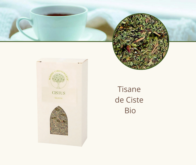 Tisane de Ciste 
