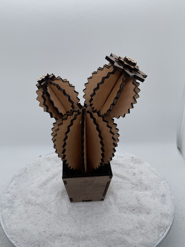 Cactus trois boules et son pot