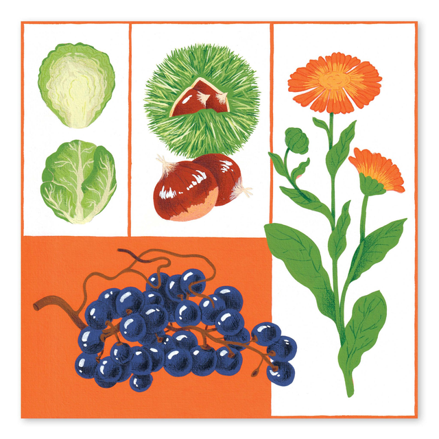 Illustrations du calendrier 2024