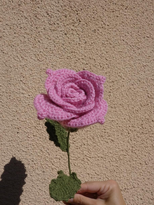 Grosse rose rose 