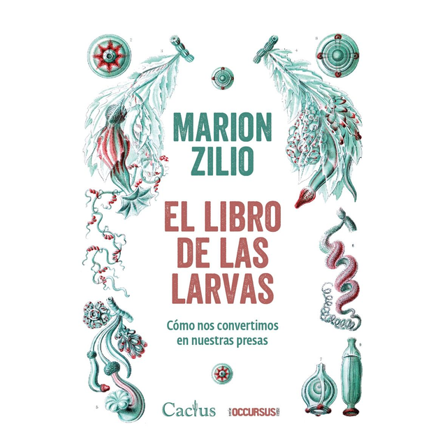 El Libro De Las Larvas, Marion Zilio