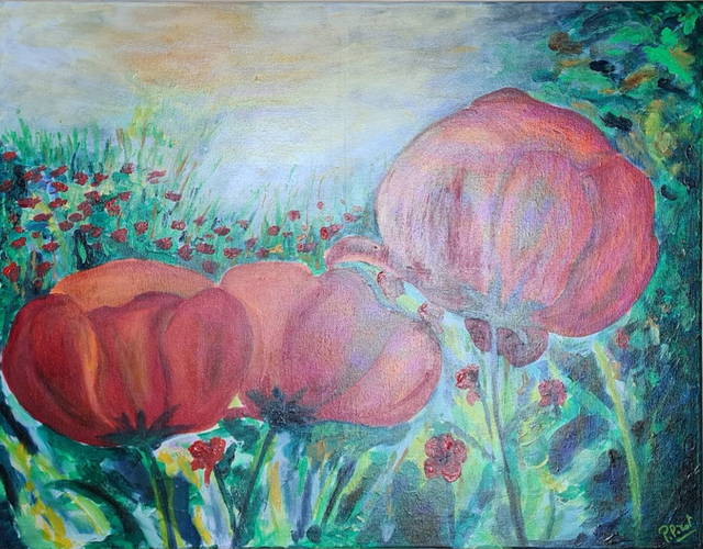 Les coquelicots 80x60cm