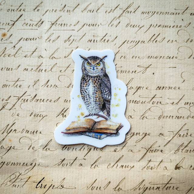 Stickers &quot; Maitre Hiboux&quot;