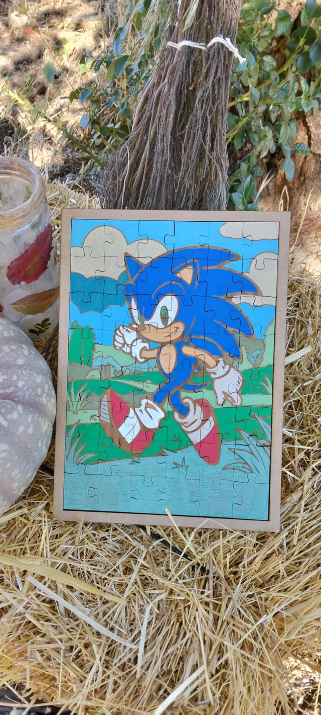 Puzzle super sonic
