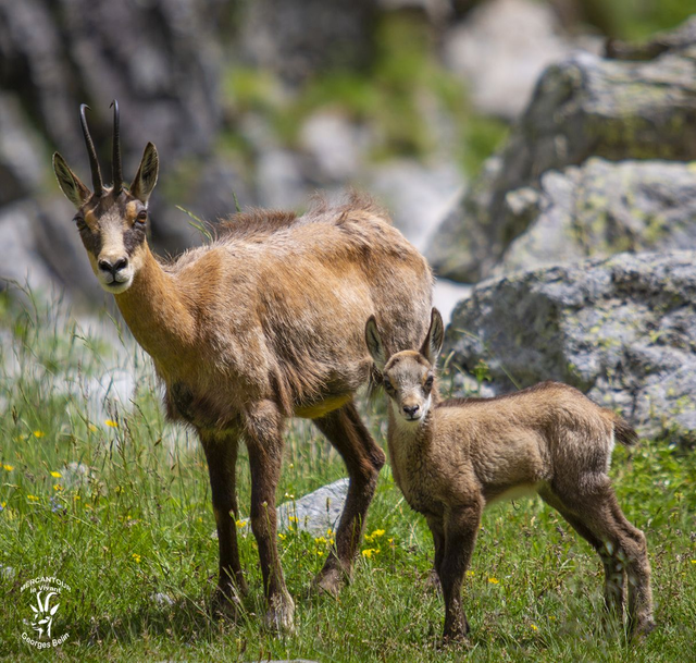 Photo sur toile 20 x 20