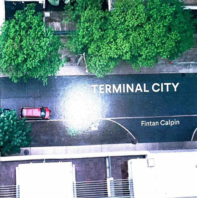 Terminal City - Fintan Calpin