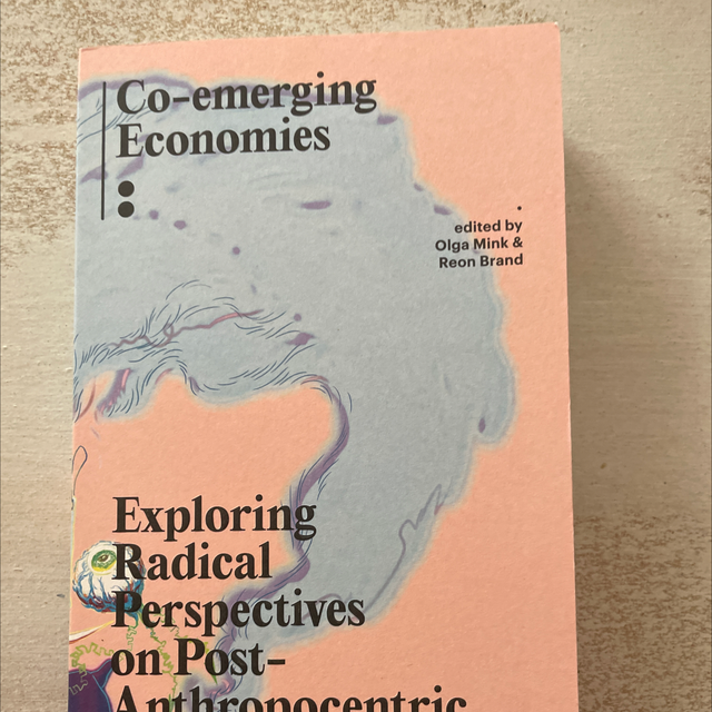 Co-Emerging Economies