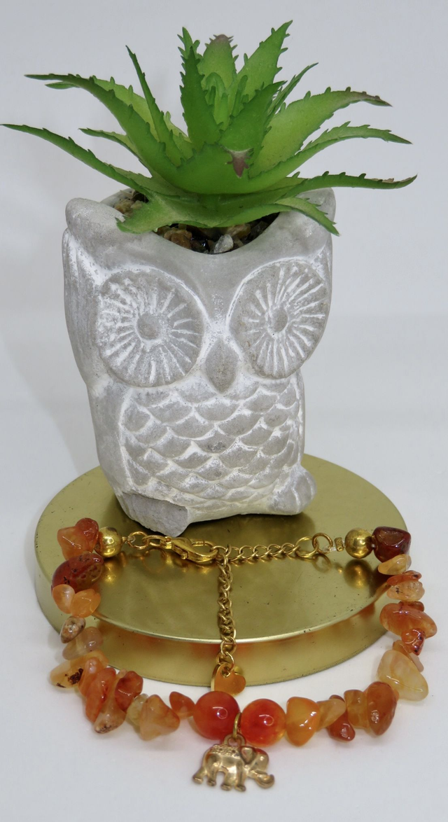 Bracelet en Cornaline avec fermoir